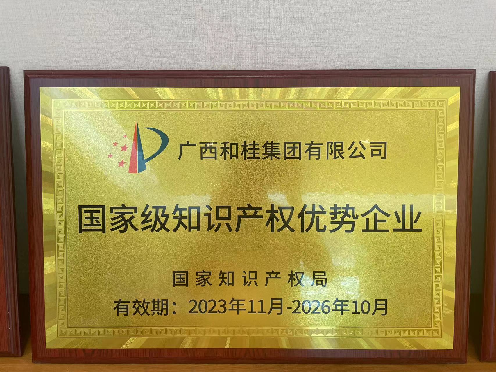 國家級知識產(chǎn)權優(yōu)勢企業(yè)